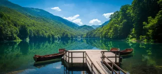 Biogradska Gora National Park, Montenegro